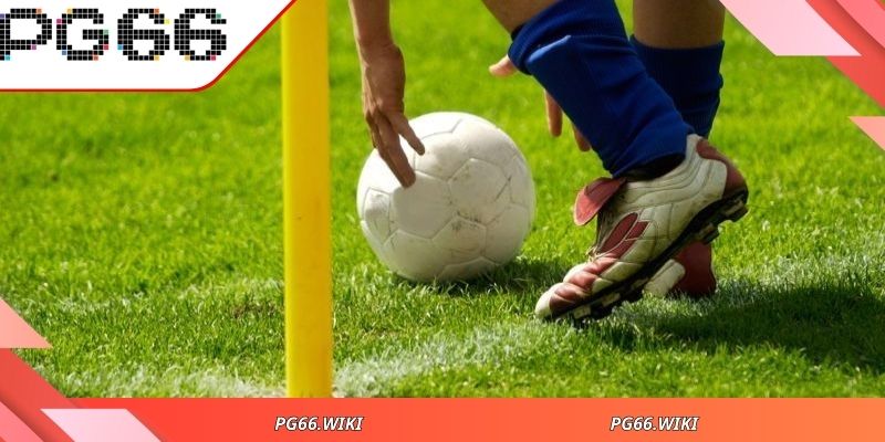 Bí quyết đọc kèo hiệu quả dành cho bạn mới bắt đầu